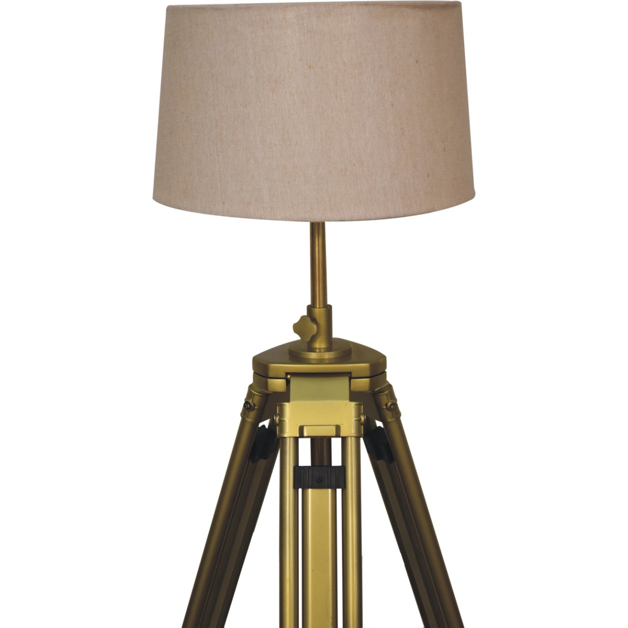 Brass Plated Floor Lamp - CasaFenix