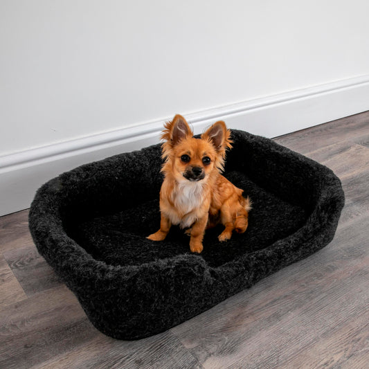 100% Luxury Merino Wool Pet Bed Cat / Dog Black 60 x 40cm MEDIUM - CasaFenix