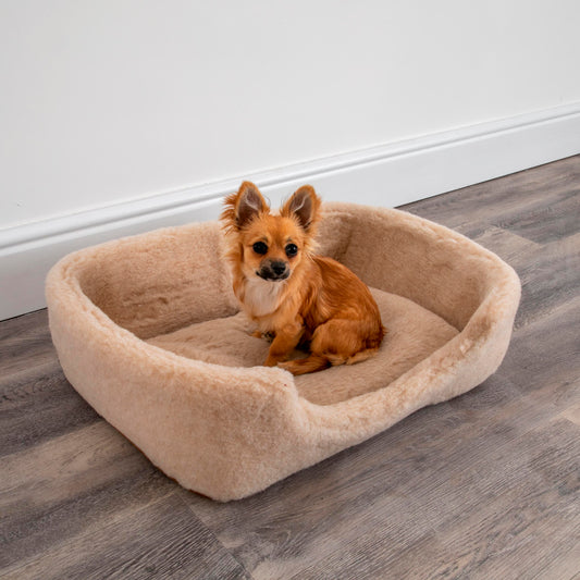 100% Luxury Merino Wool Pet Bed Cat / Dog Cappuccino Colour 60 x 40cm MEDIUM - CasaFenix