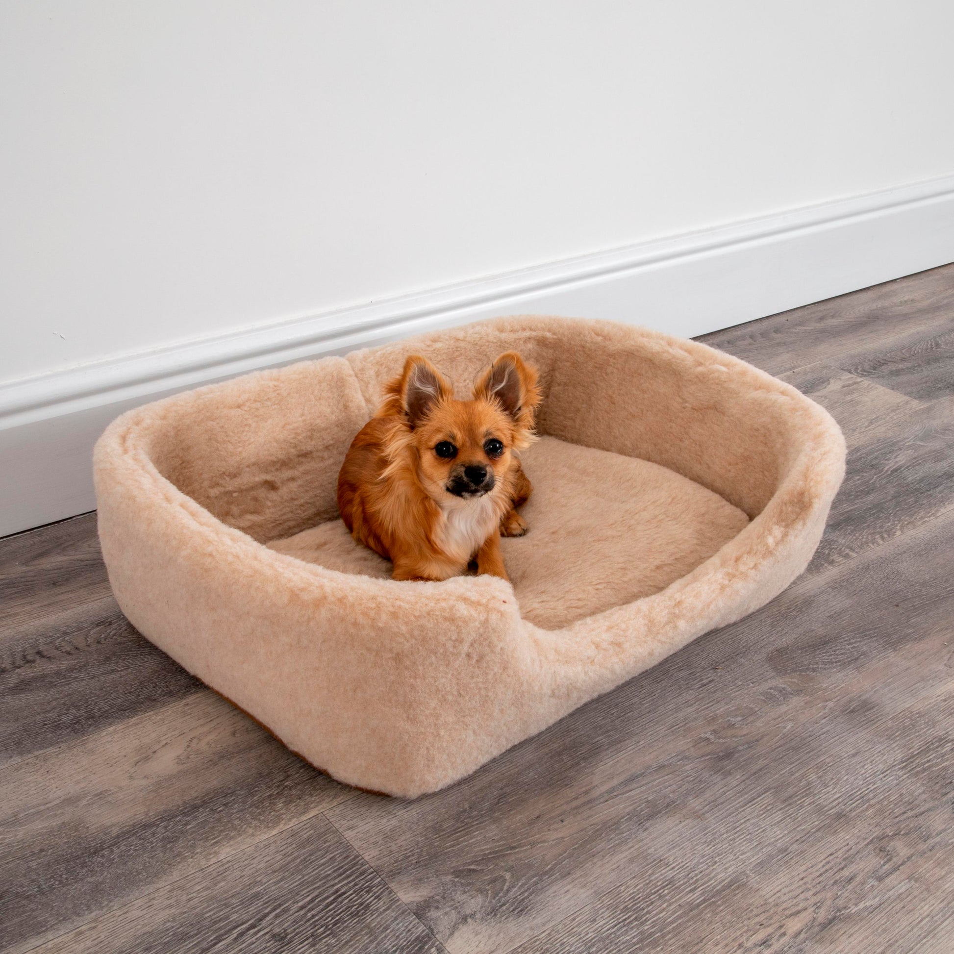 100% Luxury Merino Wool Pet Bed Cat / Dog Cappuccino Colour 60 x 40cm MEDIUM - CasaFenix