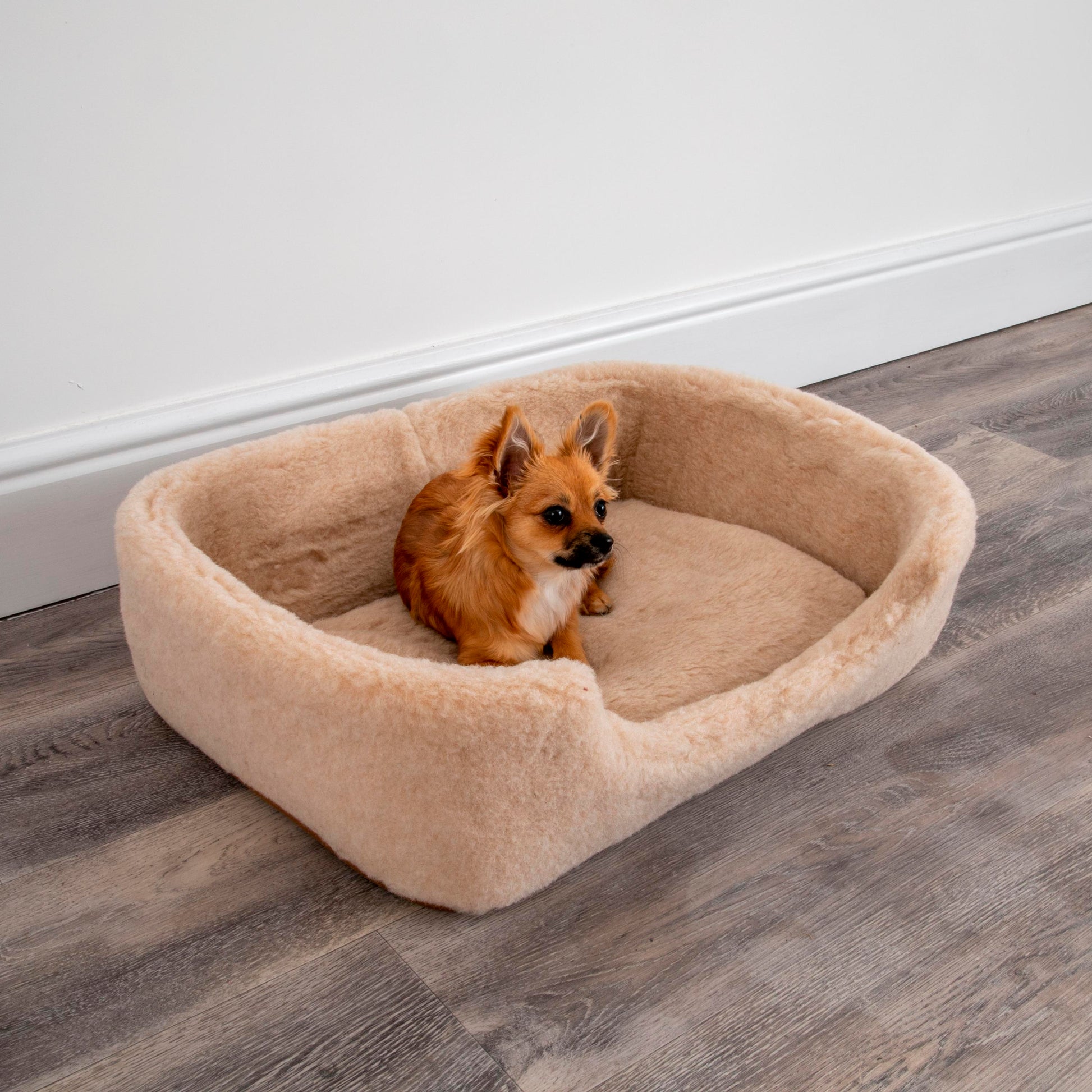 100% Luxury Merino Wool Pet Bed Cat / Dog Cappuccino Colour 60 x 40cm MEDIUM - CasaFenix