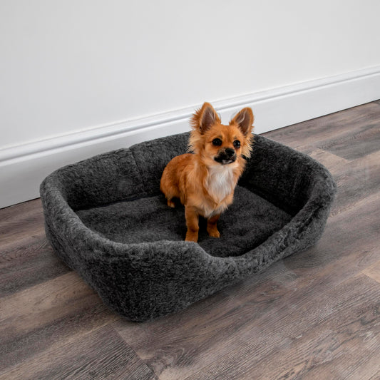 100% Merino Wool Pet Bed - Grey 60 x 40cm MEDIUM - CasaFenix