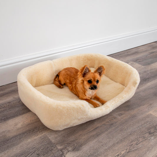 100% Merino Wool Pet Bed Dog / Cat - natural (white) 60 x 40cm MEDIUM - CasaFenix