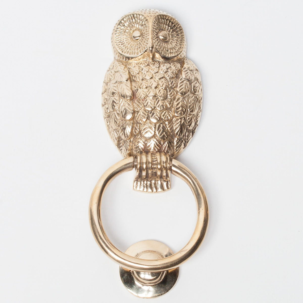 Polished Brass Owl Door Knocker Door knocker CasaFenix