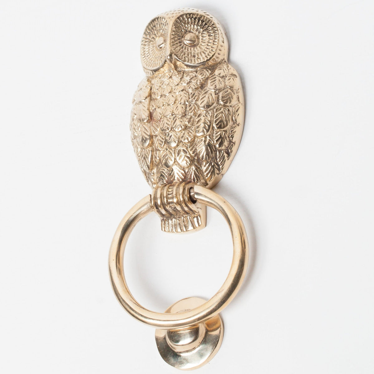 Polished Brass Owl Door Knocker Door knocker CasaFenix