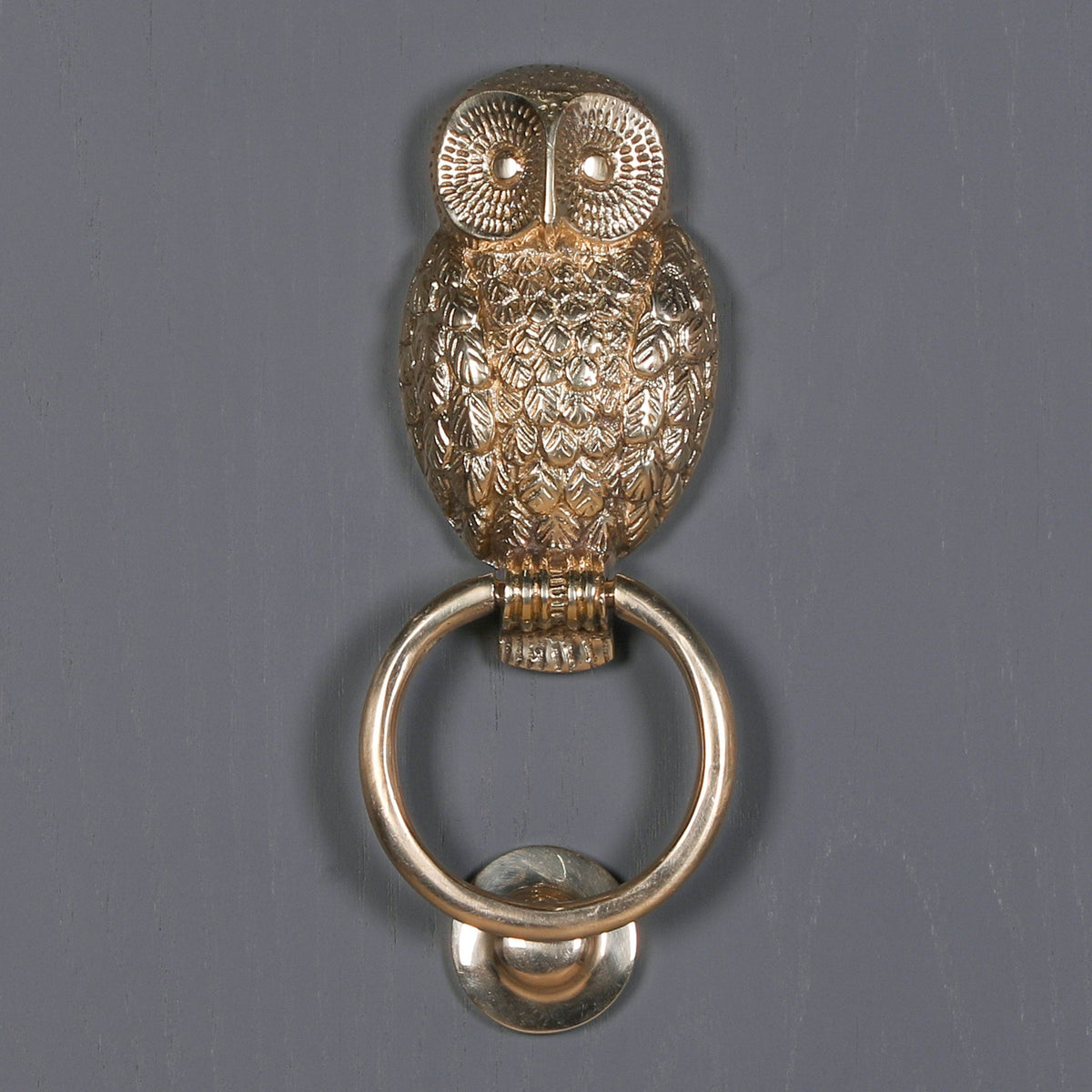 Polished Brass Owl Door Knocker Door knocker CasaFenix