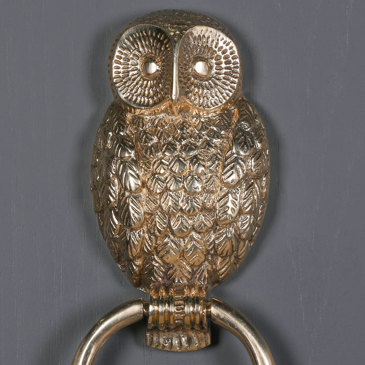 Polished Brass Owl Door Knocker Door knocker CasaFenix