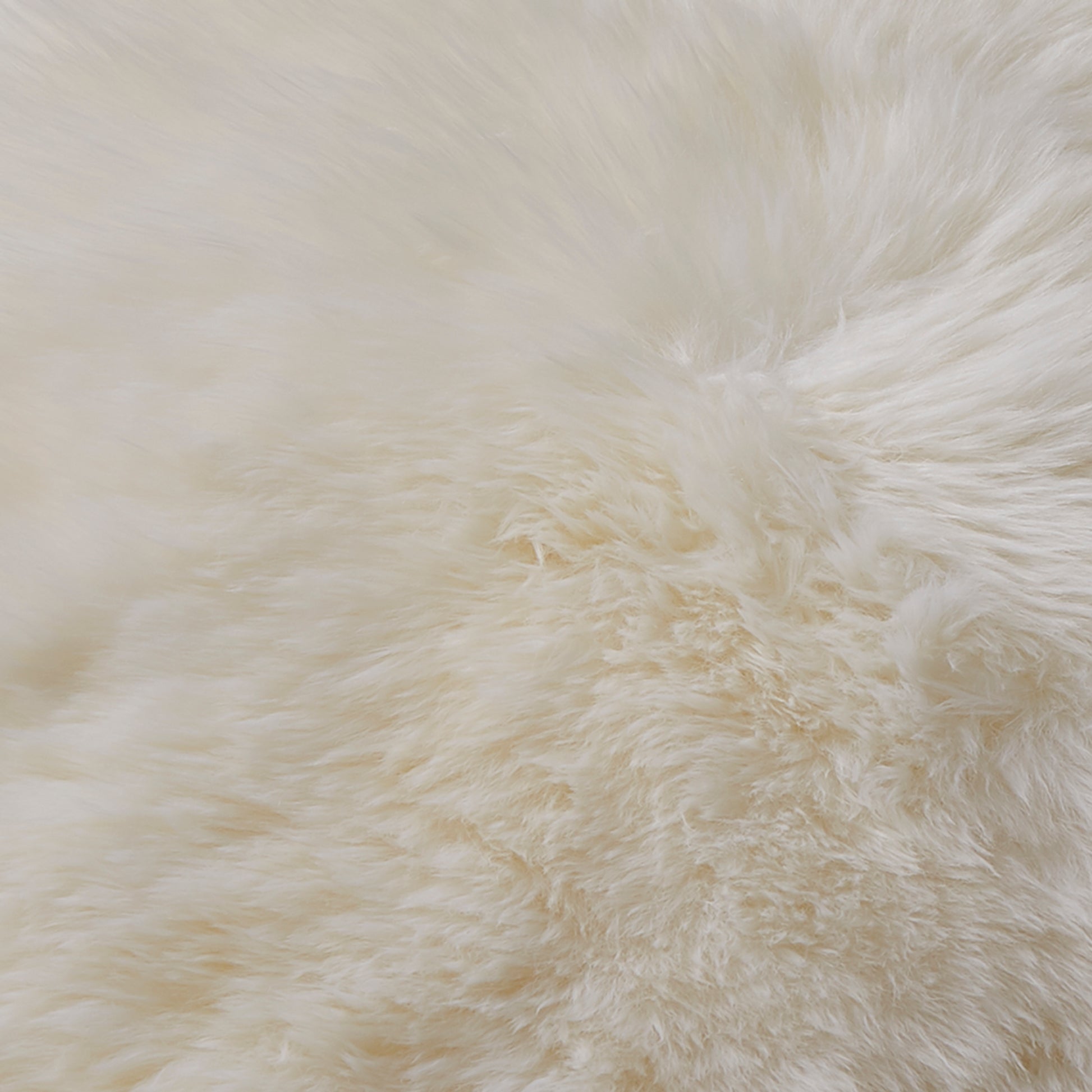 Natural Sheepskin Rug XXL Rugs CasaFenix