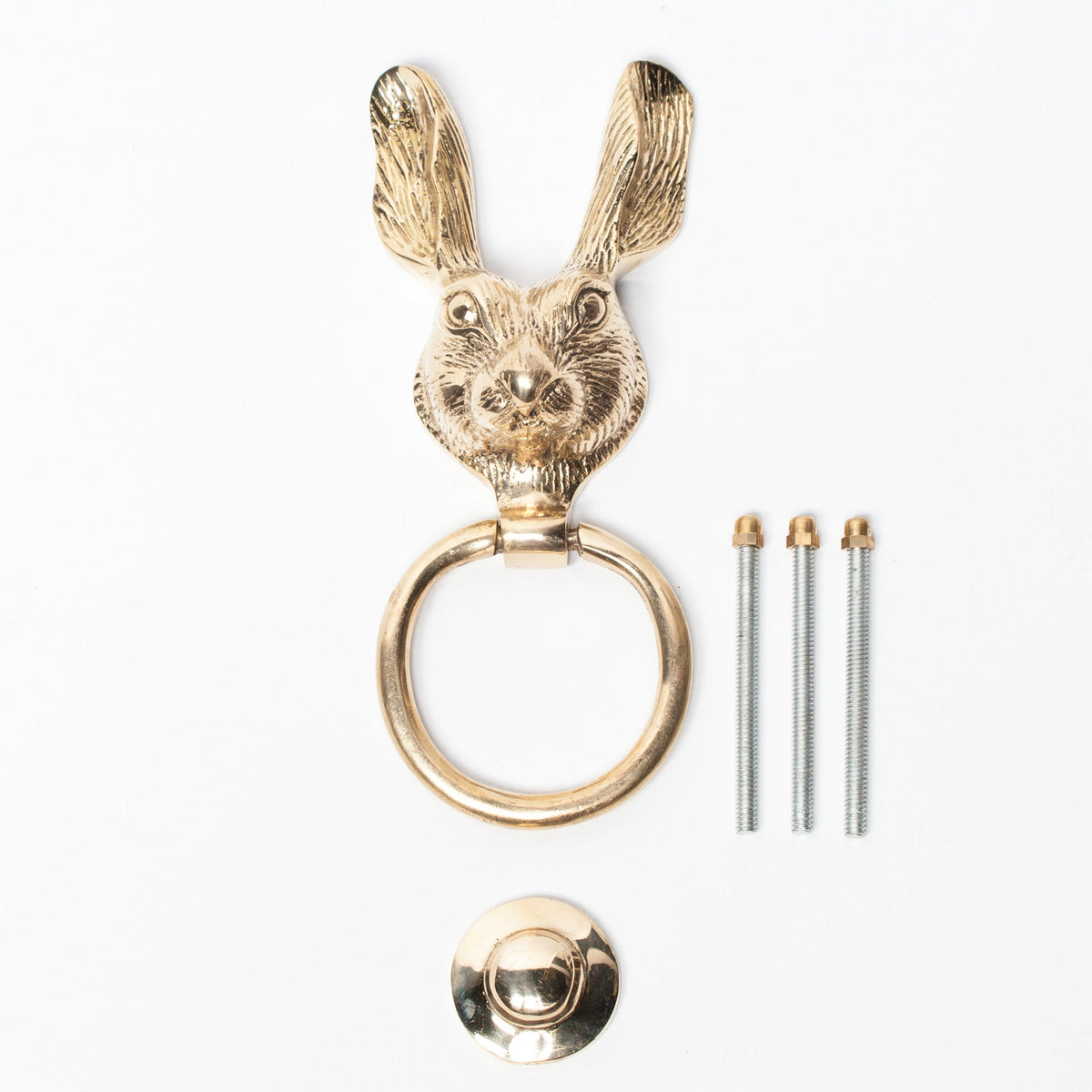 Polished Brass Rabbit Door Knocker Door knocker CasaFenix