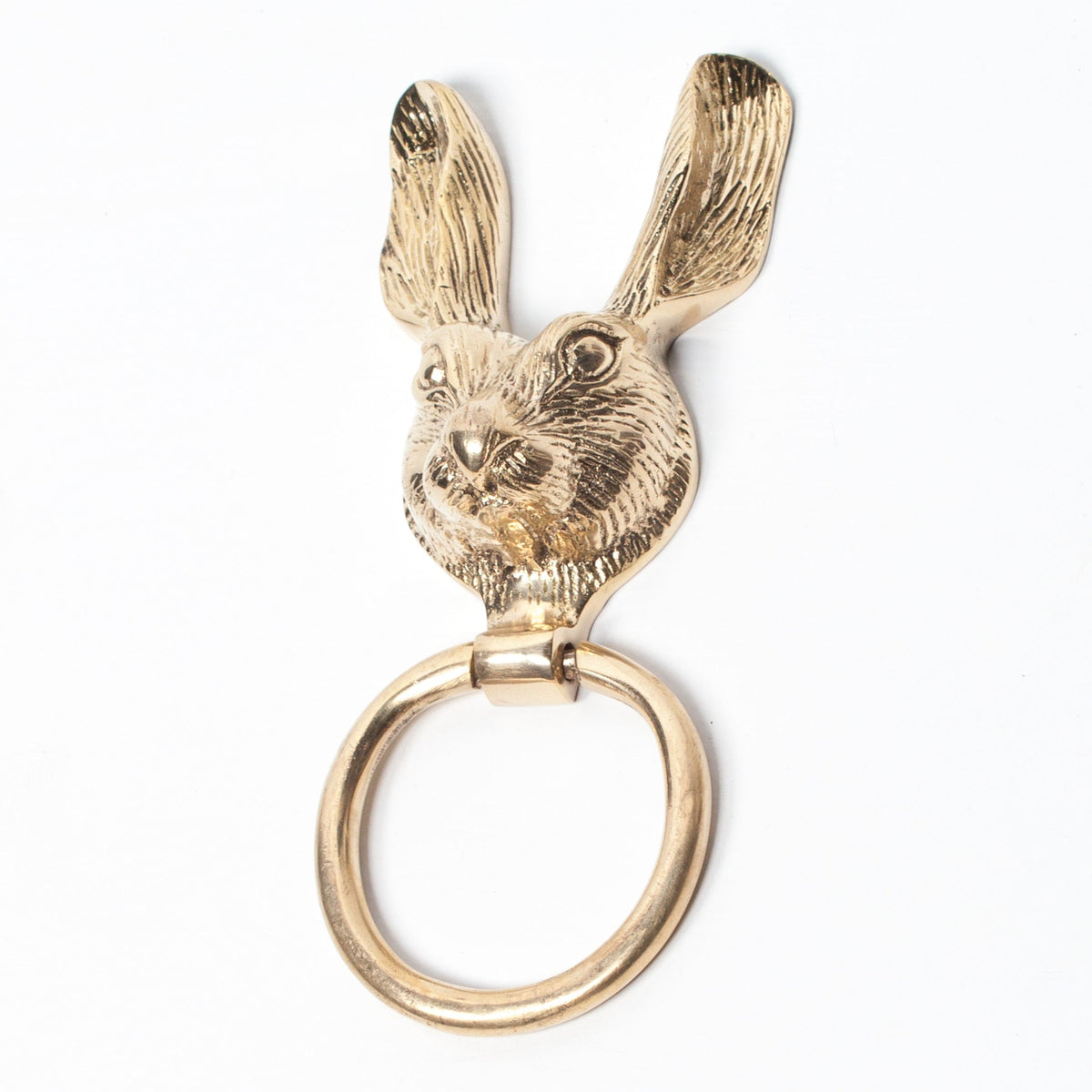Polished Brass Rabbit Door Knocker Door knocker CasaFenix