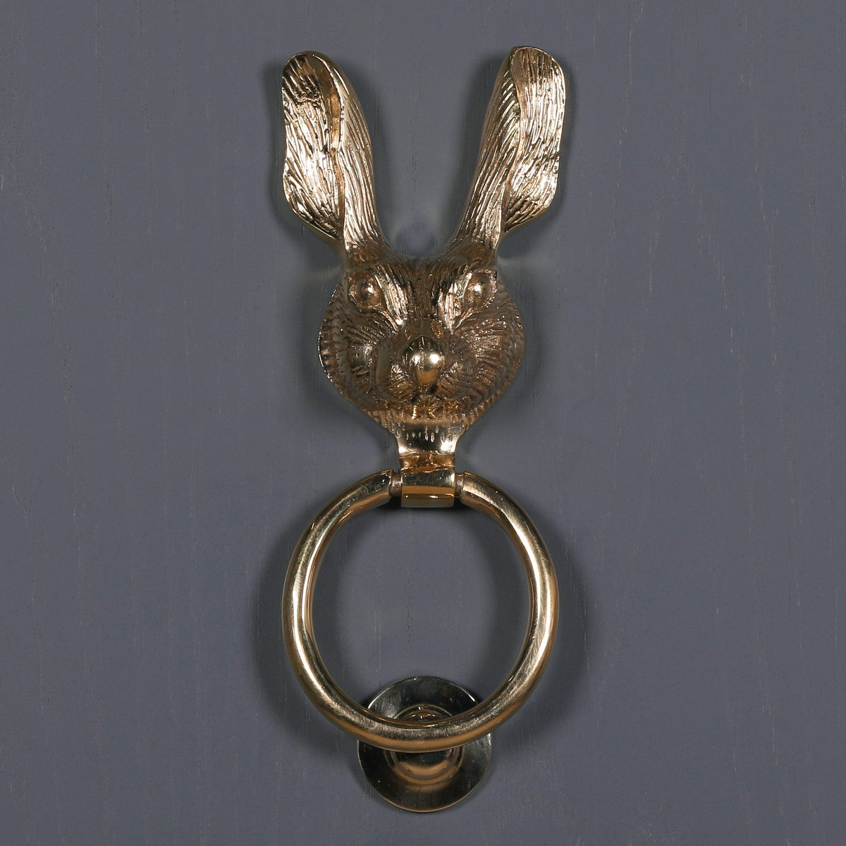 Polished Brass Rabbit Door Knocker Door knocker CasaFenix