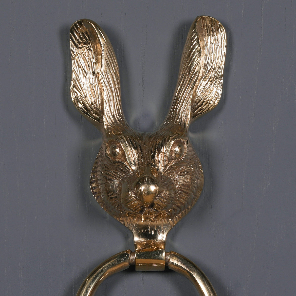 Polished Brass Rabbit Door Knocker Door knocker CasaFenix