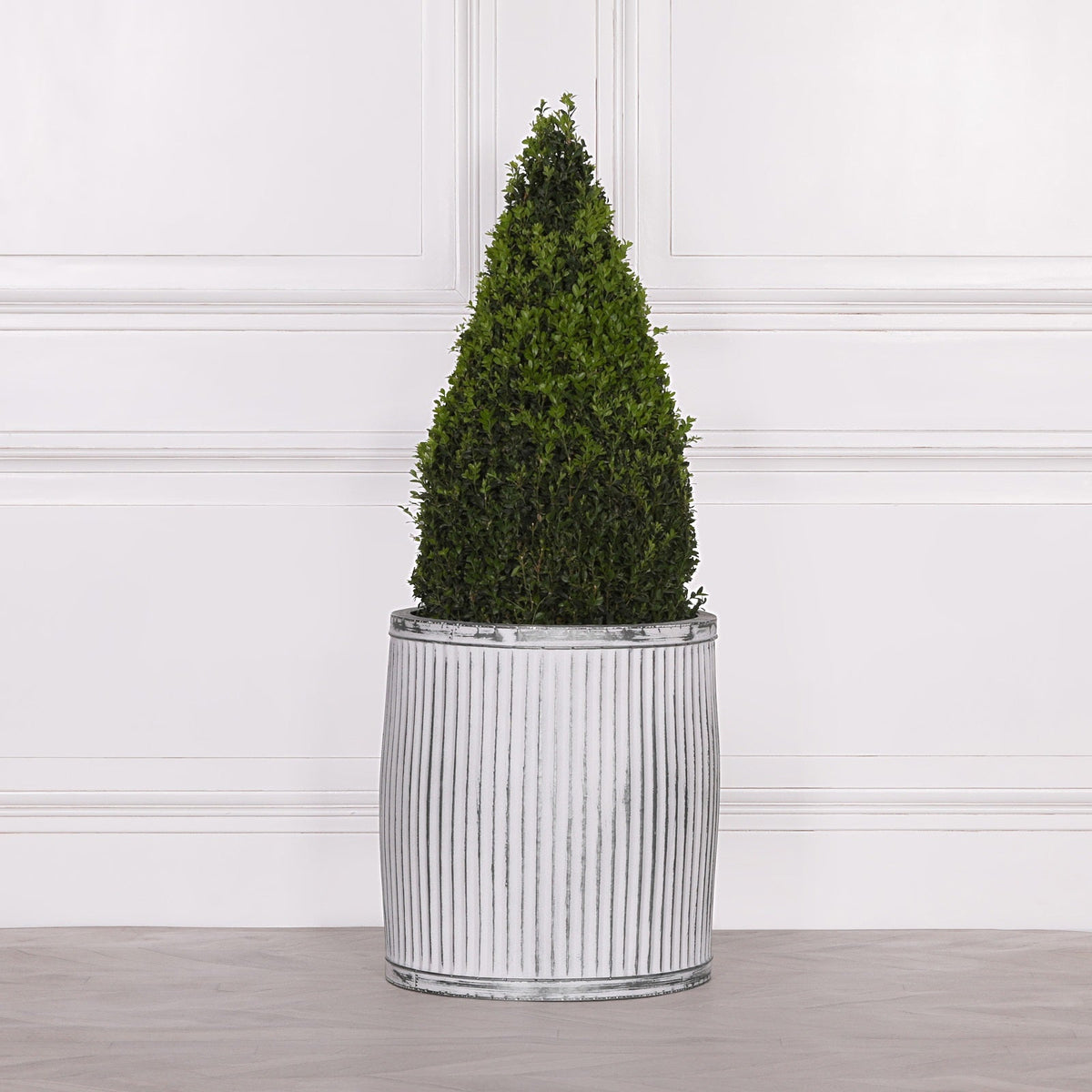 Galvanised Steel Round Dolly Tub Planter Small Planter CasaFenix